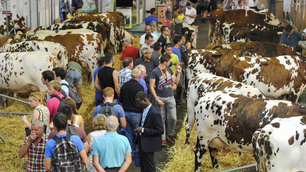 © C. Faimali / GFA